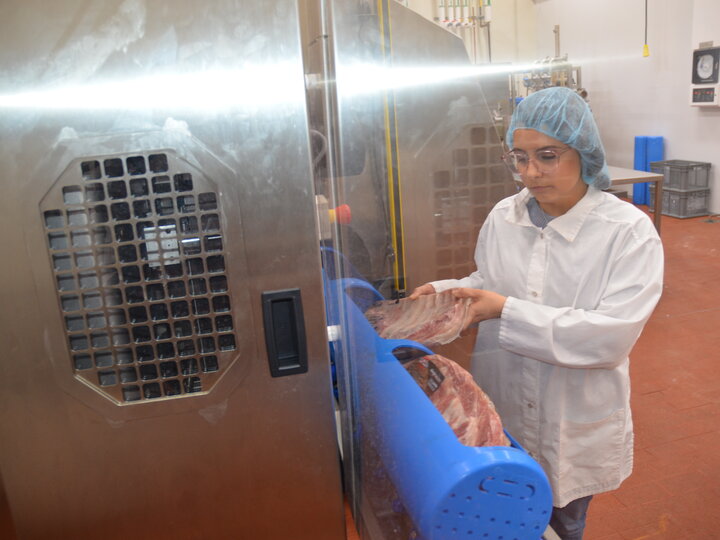 high pressure processing meat