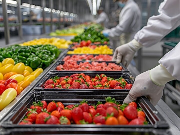 fruit assembly and inspection on conveyor