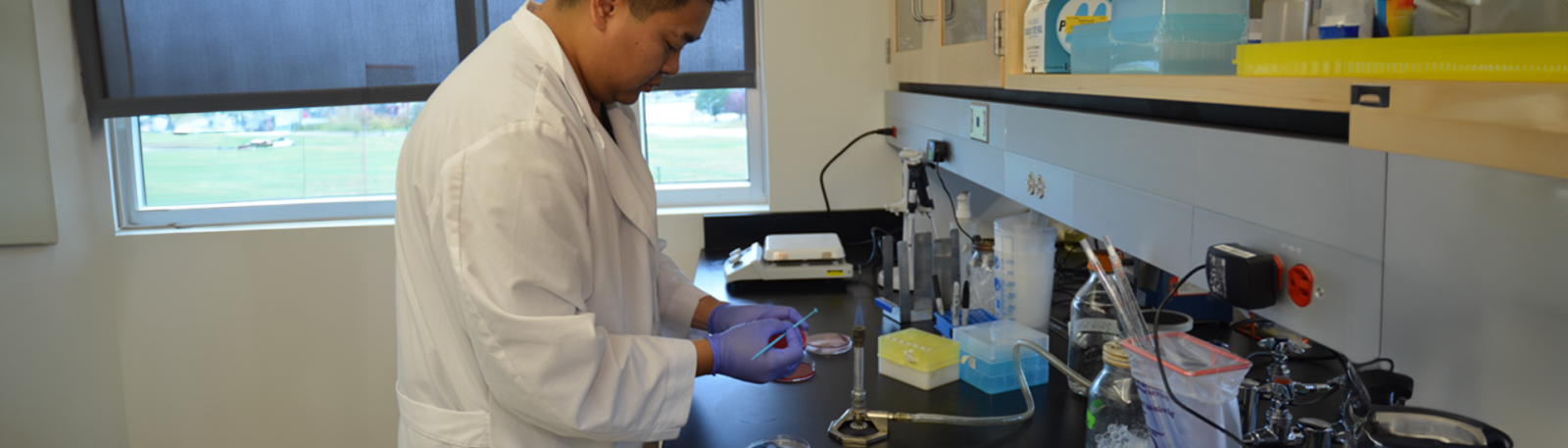 Scientist working with samples in a lab.